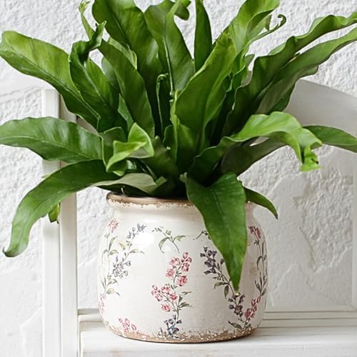 Xiaan Jiaju Flower Pots, Vintage Antique Ceramic Planters for Indoor Plants - Image 5