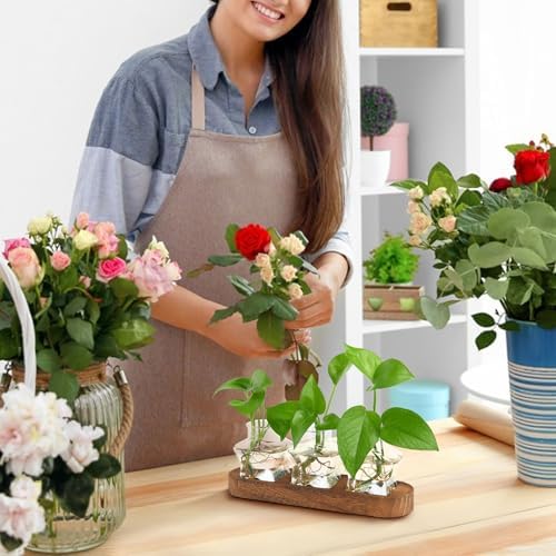 XXXFLOWER Plant Propagation Station with Wooden Stand 3 Star Jars - Image 5
