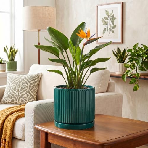 8 Inch Ceramic Planter, Round Pots for Plants, Blackish Green - Image 6