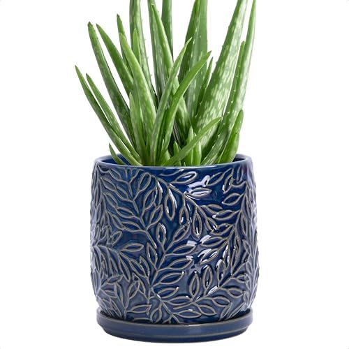 D'vine Dev Embossed Leaves Ceramic Planter, 5 in, Midnight Blue, 27-A-V-3 by DvineDevPlanterPotsandStand