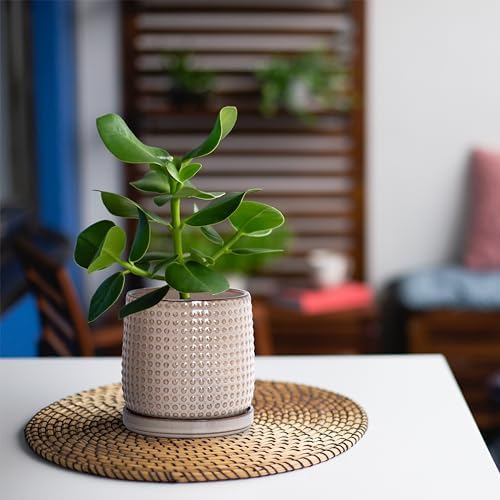 D'vine Dev Beaded Ceramic Planter Pots, 4/6 in, Light Brown, 27-D-U-4 - Image 5
