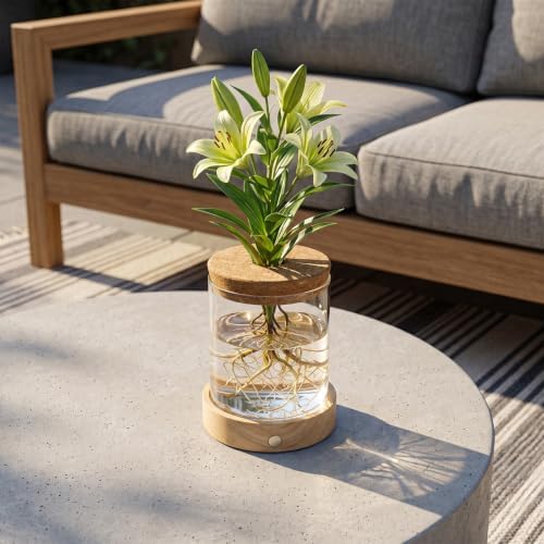 Plant Propagation Station with Wooden Saucer, Glass Terrarium with Dimmable Function Hydroponic Container Vase Jars Gardening Gifts for Mom Women Plant Lovers(4 Pack) - Image 7