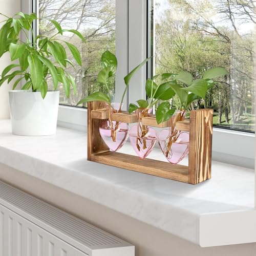 Plant Terrarium Propagation Stations Hydroponics - Image 6