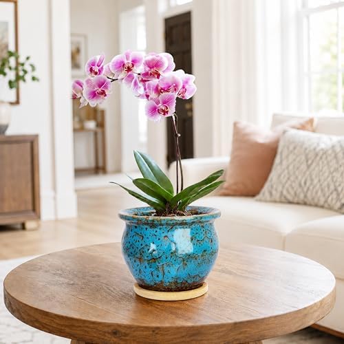 Plant Pots, 4.5 Inch Ceramic Pots for Plant with Drainage, Succulent Pots - Image 5
