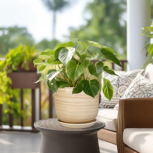 Indoor Plant Pot 8 Inch - Cylinder Modern Ceramic Planter for Indoor Outdoor Plants with Drainage Hole and Saucer, House Office Home Room Desk Decor, Yellow - Image 4