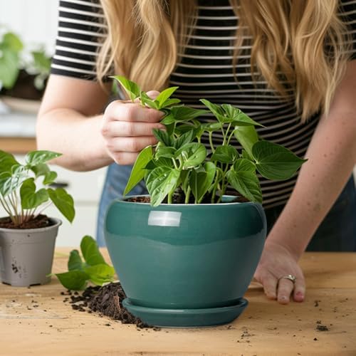 Ceramicfor Indoor Plant Pot 6 Inch - Ceramic Planter with Drainage Hole and Saucer, Modern Decorative Indoor Planter for Herb Succulent Plants, Garden Home Decor, Gifts for Plant Lovers, Green - Image 6