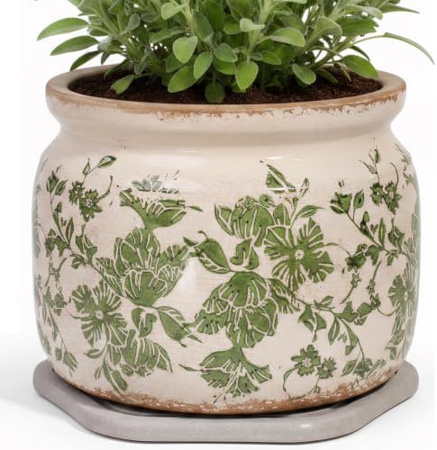 Tuscan Ceramic Planter with Decorative Tray, Plant Lover Gifts for Women by XiaanJiaju