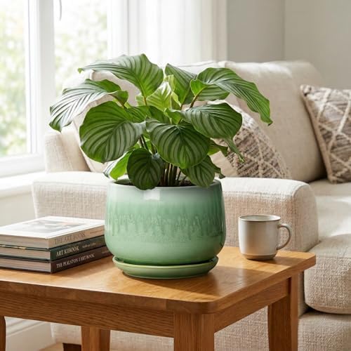 9 Inch Plant Pot - Ceramic Planter with Drainage Hole and Saucer, Decorative Ceramic Pots for Indoor Plants, Round Durable Flower Pot, Office House Patio Decor, Gifts for Plant Lovers, Green - Image 5