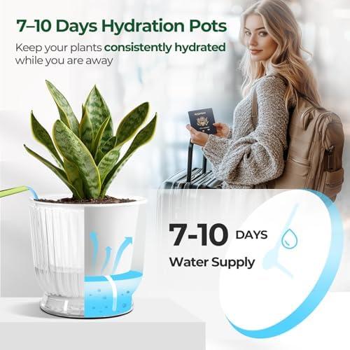 T4U Self Watering Pots for Indoor Plants 4 Inch 4 Pack Planter Clear - Image 5