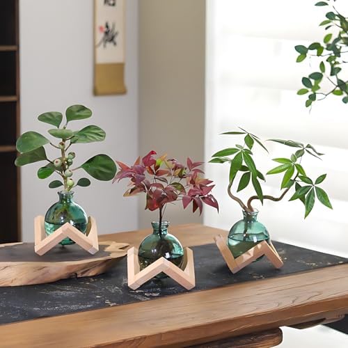 Cute Plant Propagation Station Glass Bulb Water Vases Green Office Decor - Image 5
