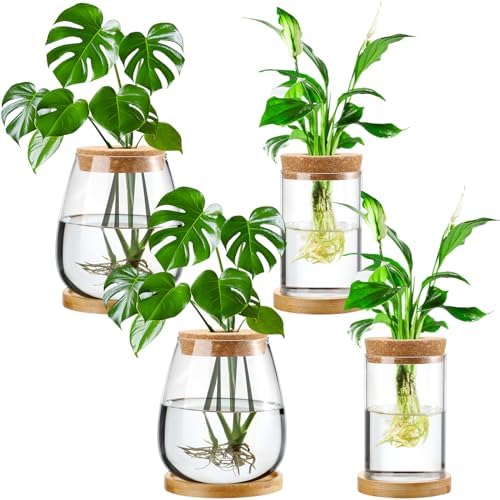 Layhit 4 Pcs Plants Propagation Stations vases Glass Planters with Wooden Lid and Bamboo Stand for Hydroponic Plants Gardening Gifts for Women Mom Home Office Tabletop Decoration(Classic Style) by ShungLan