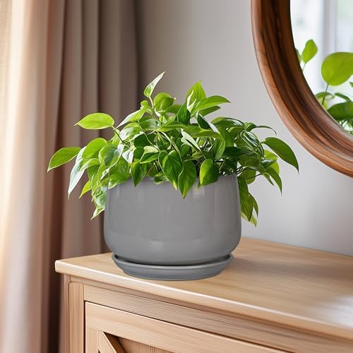 G EPGardening Ceramic Pot for Plants, 6 Inch, Gray - Image 7