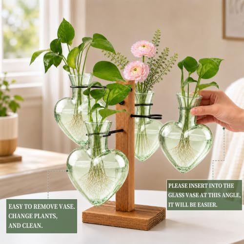 Plant Terrarium Propagation Station with 4 Heart Glass Vases - Green - Image 4