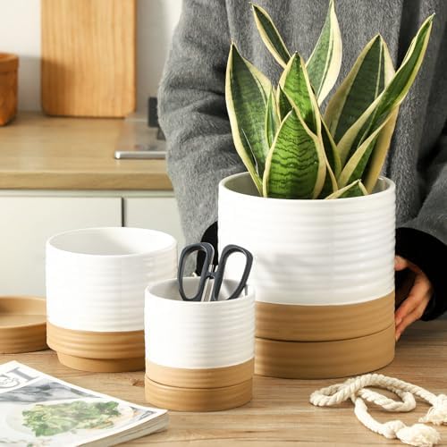 HASENSE Planters for Indoor Plants, 8+6+4.6 Inch Ceramic Plant Pots Indoors with Drainage Hole and Tray, Dual Contrast Glaze Flower Planters for Herb Snake Succulent, Set of 3, White - Image 7