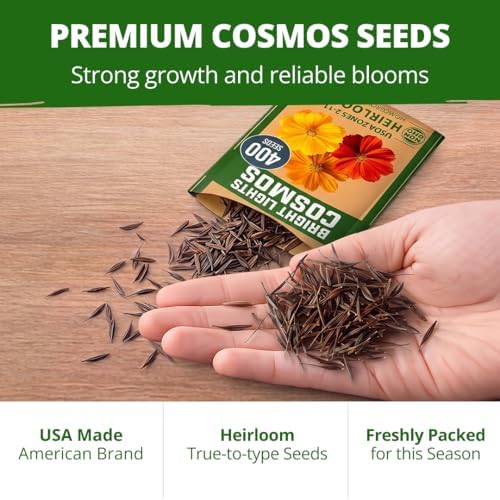 HOME GROWN Cosmos Bright Lights Mix 400 Flower Seeds Cosmos sulphureus - Image 7