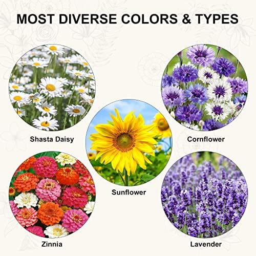 Indoor Daisy Garden Starter Kit with Gardening Tools - Planter Bags, Markers, Soil Disks and Shears, Home Gardening Gifts for Women Men Plant Lovers - Image 4