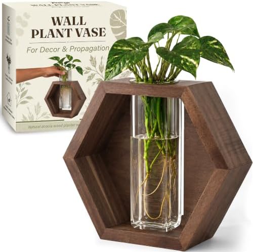 AVERGO Wall Plant Decor (1-Pack), Acacia Wood Indoor Wall Planter by Plantingseedsgrowingdreams
