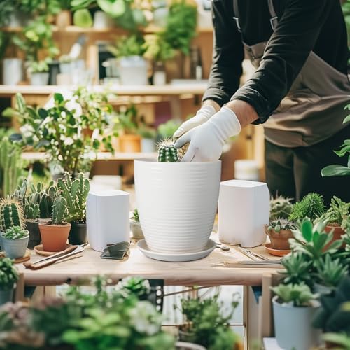 8 Inch Ceramic Planter Pot Round Plant Pot with Drainage Hole and Saucer Modern Flower Pot for Indoor Outdoor Plants White - Image 2