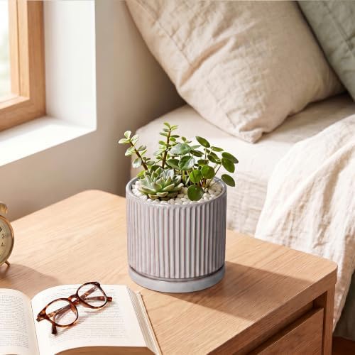 Ceramic Planter, 4 Inch Plant Pots, Round Pots for Plants, Grey - Image 6