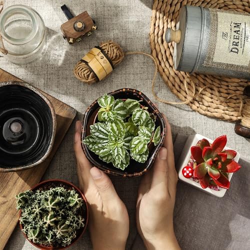 Modern Irregular Ceramic Planter Set of 4, 4 Inch Small Unique Reactive Glaze Flower Pots with Drainage Holes & Saucers - Indoor Outdoor Decorative Succulent Orchid Pots- Reactive Glaze Spot - Image 4