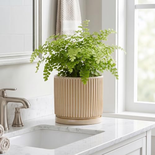 8 Inch Flower Pot, Ceramic Planters, Round Plant Pot, Beige - Image 7