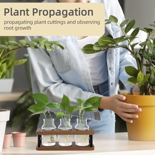 THYGIFTREE Plant Propagation Station with Wooden Stand, Propagation Vases Glass Planters for Indoor Plants Hydroponic Propagating Jars Home Office Decor, Brown - Image 2