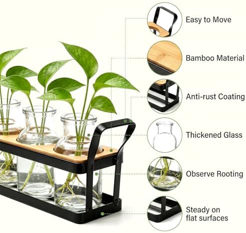 Salzesfalls Propagation Stations with Metal Stand, Tabletop Plant Terrarium - Image 3