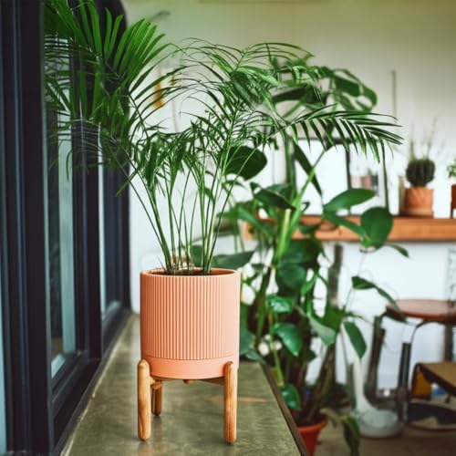 Large Terracotta Pots, 8 Inch Clay Planter Pots with Drainage Hole & Saucer (with Stand), Garden Planters for Indoor/Ourdoor Plants, Cactus & Snake Plant - Image 7