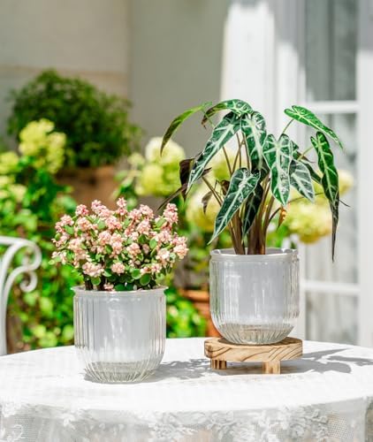 Melphoe Self Watering Pots for Indoor Plants Planter, 5.3 Inch 2 Pack Planters Self Watering Plant Pots for Flower, Houseplants, Succulent, African Violets and Cactus with Drainage - Image 2