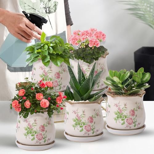 Ceramic-Planters-for-Indoor-Plants with Saucer, 6 inch Vintage Ice Crack Glaze Plant Pots with Drainage Holes, Decorative Flower Pots for Outdoor Garden Home Decor, Tuscan Pot for Plant - Image 2