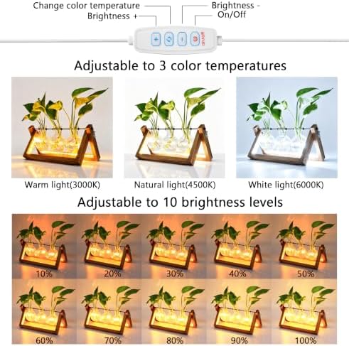 Plant Propagation Station with 9-Speed Adjustable LED Lights Air Planter Bulb Glass Vase Wooden Stand Plant Terrarium for Hydroponic Plants for Plant Lovers Home Garden Office - Image 2