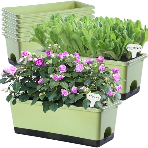 Oliz Window Box Planter 8 Pcs, 17 Inches Rectangle Flower Pots with Drainage Holes & Trays, Vegetable Planters for Windowsill Patio Garden Balcony Home Indoor Outdoor (Light Green, 16 * 7 * 6 inch) by Oliz