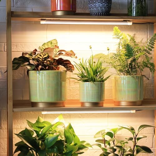 Gepege Ceramic Plant Pots for Indoor Plants, Planters with Drainage Holes - Image 4