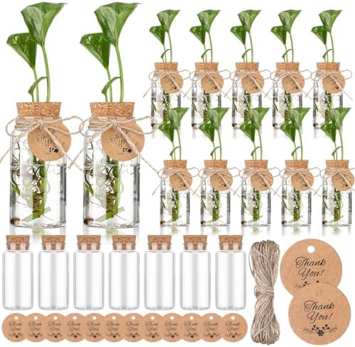 Baderke 24 Pack 3.54'' Plastic Plant Propagation Stations with Hole Lid by Baderke