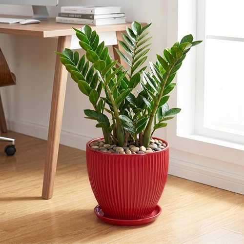 10 Inch Plant Pot, Ceramic Planters for Indoor Plants, Decorative Plant Pots with Drainage Hole and Saucer, Modern Round Large Planter, Office Apartment Decor, House Warming Gifts, Red - Image 3