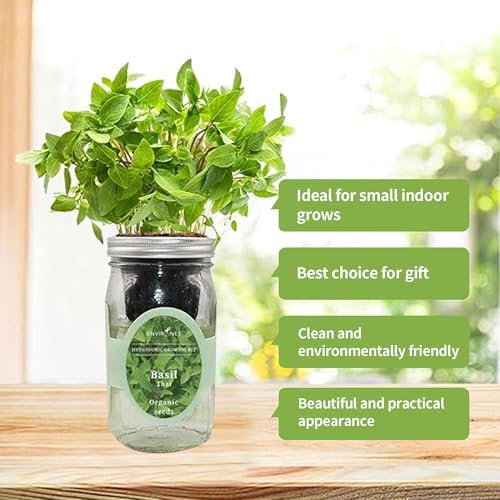 Hydroponic Herb Growing Kit, Self-Watering Mason Jar Herb Garden Starter Kit Indoor, Windowsill Herbs Garden, Grow Your Own Herbs from Organic Seeds (Thai Basil) - Image 3