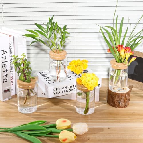 Separated Desktop Glass Flower Vases - Ideal Plants Propagation Stations for Living Room, Bedroom Decoration,Home Decor (2) - Image 5