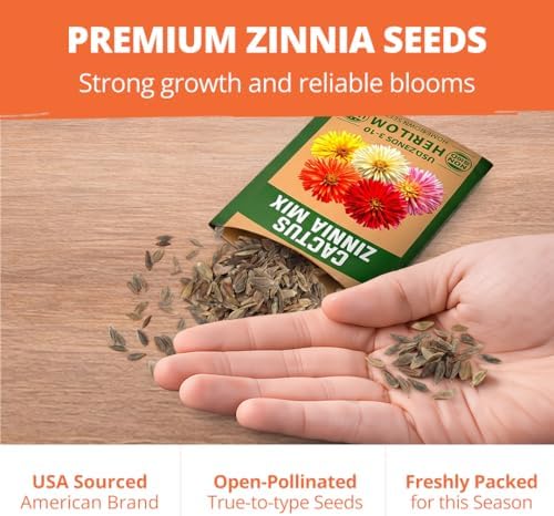 HOME GROWN Zinnia Cactus Mix 650 Flower Seeds Zinnia elegans - Image 7