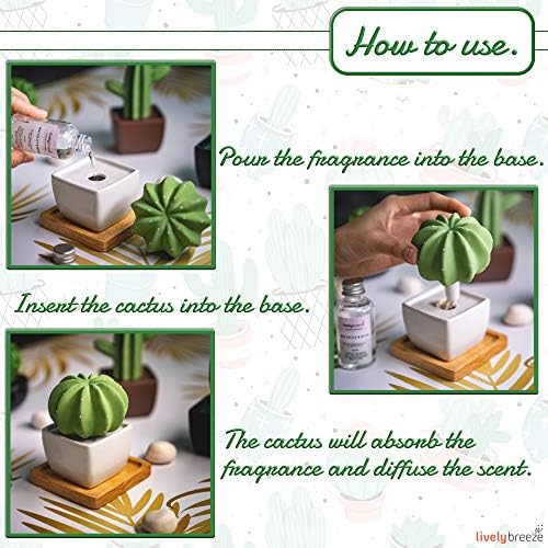 Dotti Cactus, Non-Electric Ceramic Diffusers for Essential Oils and Aromatherapy Fragrance, White Ceramic Diffusers in Car or Desk Office Decor and Small Bathroom at Home, White Vase - Image 3