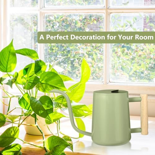 Watering Can Indoor Plants, 35oz Small Indoor Stainless Steel Metal Watering Can Modern Decorative Watering Pot with Long Spout for Indoor House Plant Bonsai Garden Flowers (Sage Green) - Image 3