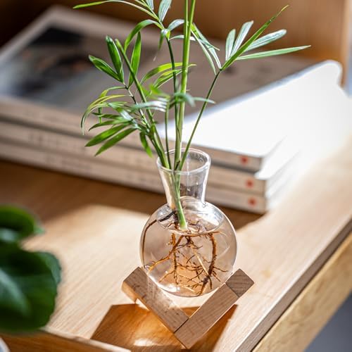 Propagation Stations, Propagation vases with Wooden Stand, Small Tabletop Glass Bulb Vases for Hydroponics Plant Propagation Station Home Office Decoration, Gift for Women Plant Lovers (2) - Image 7