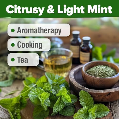 HOME GROWN Lemon Balm Seeds, 403 Seeds, Melissa officinalis - Image 6