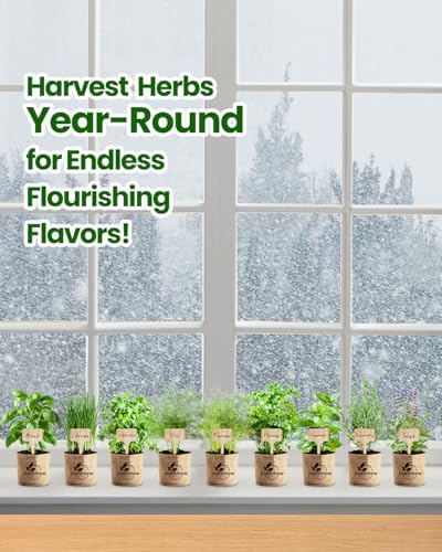 Gift for Women, Mom, Her – 9 Herb Indoor Window Garden Kit | Complete Herb Seeds Starter Set with Pots, Soil, Tools & Markers | Heirloom Herbs | Birthday, Housewarming, New Home, Mother's Day - Image 6