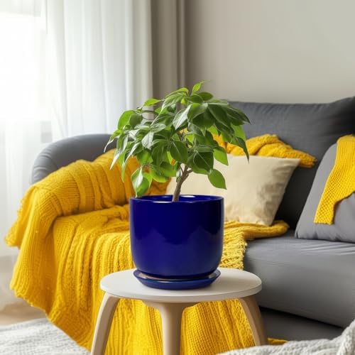 8 Inch Ceramic Plant Pot - Decorative Round Planter for Indoor Plants with Drainage Hole and Saucer, Home House Room Office Garden Decor, Blue - Image 6