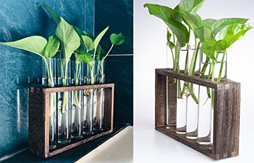 5 Tube Wooden Plant Propagation Station, Tabletop Glass Terrarium Holder for Cuttings Hydroponics, Home Office Desk Decor Gift for Women Mom Plant Lovers, Brown - Image 3