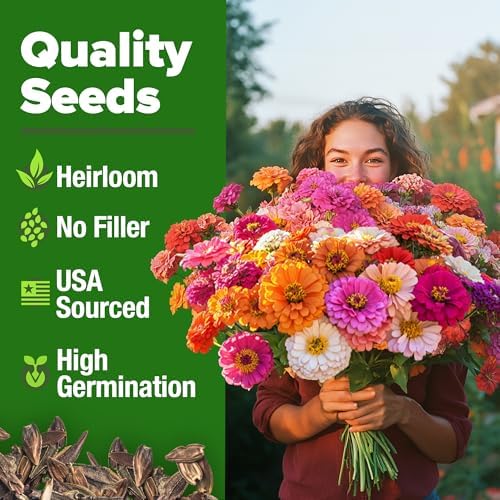 HOME GROWN California Giant Mix Zinnia Seeds, 14,600+ Seeds, Zinnia elegans - Image 2
