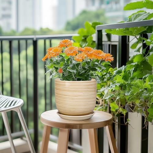 Ceramic Planter for Indoor Plants 7 Inch - Cylinder Modern Indoor Plant Pot with Drainage Hole and Saucer, Home Patio Office Bathroom Decor, Yellow - Image 5