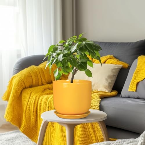 Ceramic Plant Pot 8 Inch - Decorative Modern Round Indoor Planter for Plants Flowers with Drainage Hole and Saucer, House Desk Office Home Decor, Yellow - Image 6