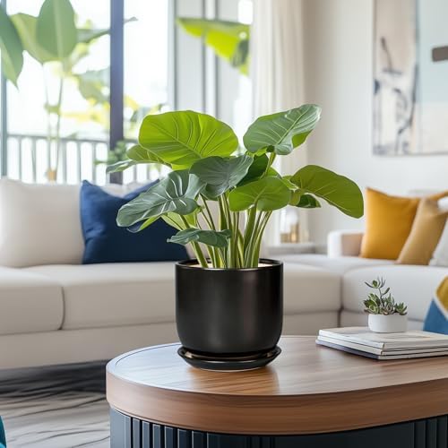 Ceramic Planter 7 Inch - Cylinder Round Modern Indoor Plant Pot for Plants with Drainage Hole and Saucer, Room Home Patio Office Patio Decor, Black - Image 2