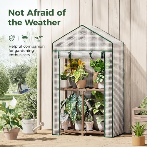 Bamworld 2-Tier Mini Greenhouse 15-Min Setup Outdoor 23x17x38-Inch - Image 3